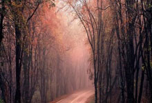 中超：王大雷“染红“ 十人泰山队0-0河南队.