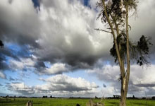 178体育官网：塞尔吉尼奥火速驰援国足，“新10号”要怎么用才能激发最大价值？.