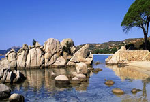 178体育官网：FIFA官方：摩西葡、阿乌巴符合2030年世界杯条件.